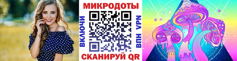 хочу   Дорогобуж  блэк спрут рабочий сайт  Галлюциногенные грибы MAGIC MUSHROOMS 