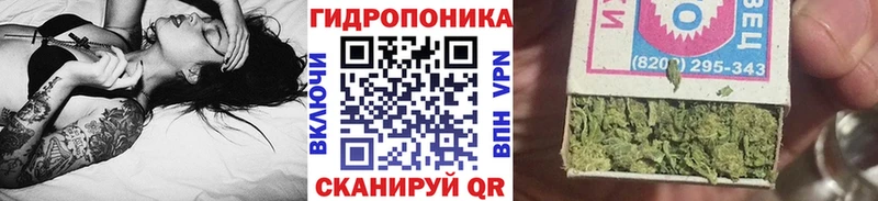 МАРИХУАНА тримм  Дорогобуж 